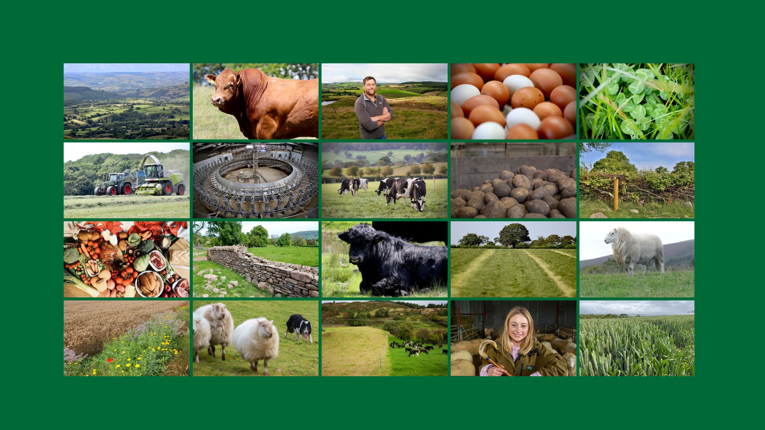 Montage of farming images